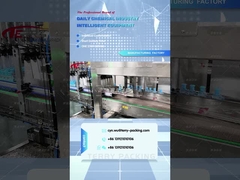 เครื่องบรรจุกล่อง naaisi